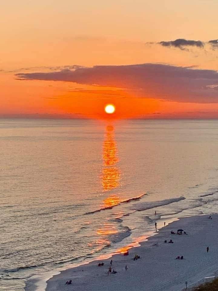Pink Sunsets At The Palms Of Across From Beach, Heated Pool Shuttle & Dining Hébergement de vacances *